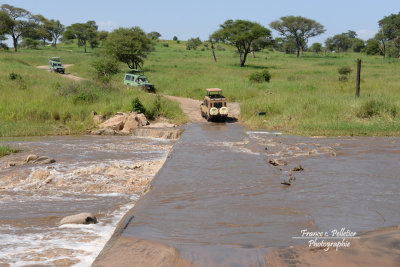 Serengeti_DSC_9591-site.jpg