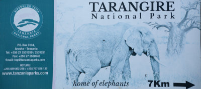 Tarangire_DSC_9031_site.jpg