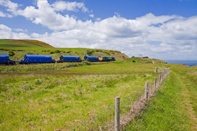 Cargo Train 