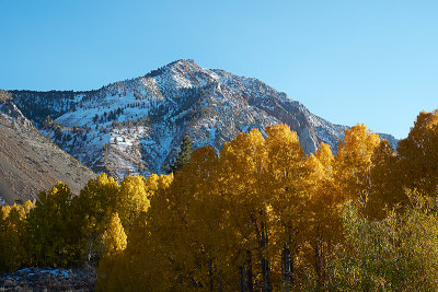 Eastern Sierra Fall 2013