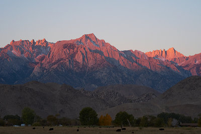 Sunrise, Owens Valley
