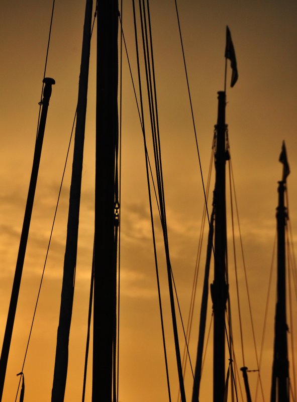 Masts at sunset 
