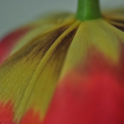 g9/01/900301/3/160247546.uAYST5NB.jpg