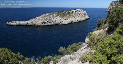 Reproductive habitat in Balearic islands