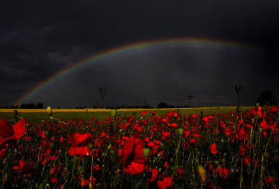 Regenboog Polen