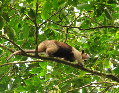 Costa Rica February 2015