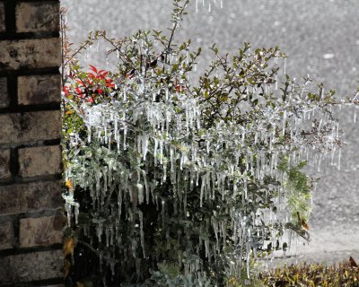 ice on mailbox - IMG_9883