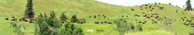 merged movie whole thing - buffalo - MVI_3865