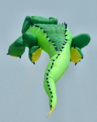 Green dragon kite - DSCN0450