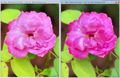 IMG_5090 raw vs jpg comparison