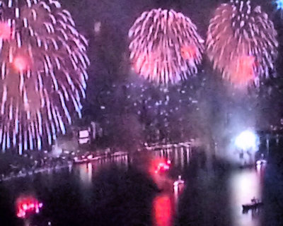 Fireworks on TV - IMG_6455