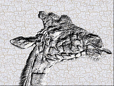 02 - giraffe head - DSCN2190 - cartoon