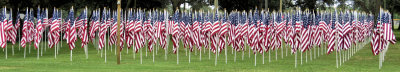 Flags in a Field of Valor - 351 flags - IMG_2831 