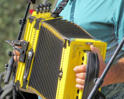 Yellow accordion - IMG_3411
