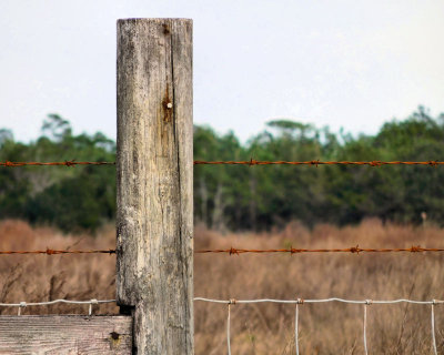 Fence post - DSCN0177 