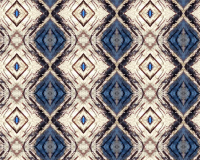 Red bellied woodpecker pattern effect - DSCN0267