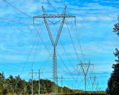 Power Lines - DSCN6623 - topaz