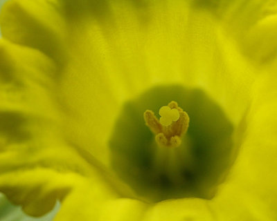 03 - iso 800 f7 - IMG_1928