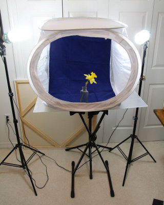 Lightbox flipped with cloth backdrop - IMG_6464 