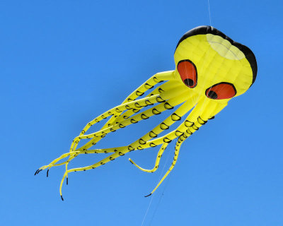 Octopus kite - IMG_4713