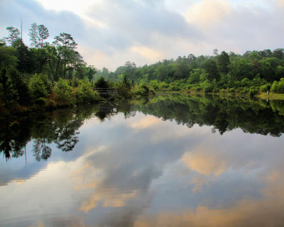 Pond - IMG_7190 