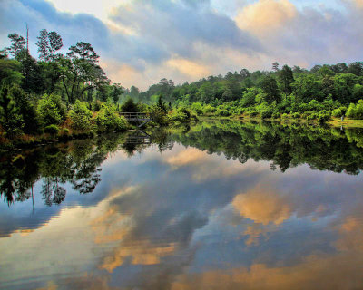 Pond - IMG_7190 