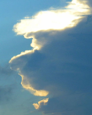 Trump in the clouds - DSCN0160