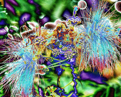 09 - solarized dream 3 - IMG_3033 