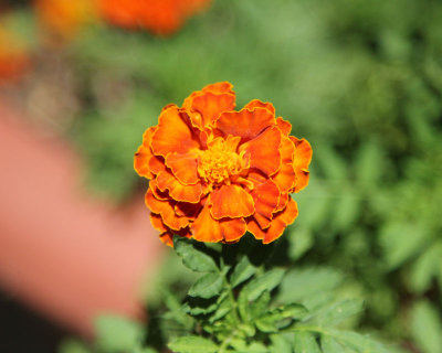 02 - F4 one 3 thousandth - IMG_3106 