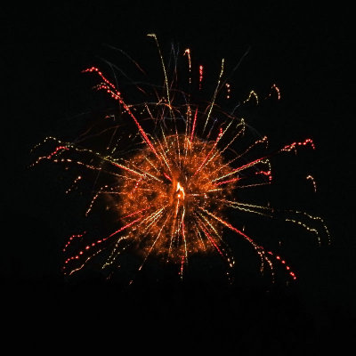 11 - DSCN1067