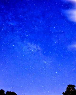 Milky Way from my driveway