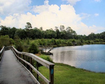 Anderson Pond - IMG_0714