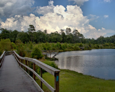 Anderson Pond - PSP HDR from One RAW - IMG_0714