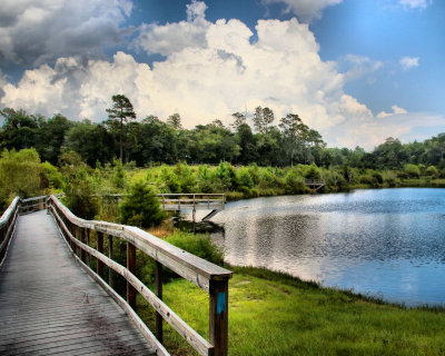 Anderson Pond - double the tone mapping - IMG_0714