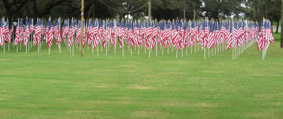 351 Flags - IMG_2831