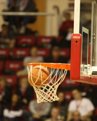 Ball in Net - IMG_3973