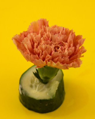 Red flower - IMG_4244