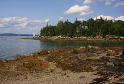 Maine