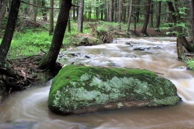 Emerald Rocki