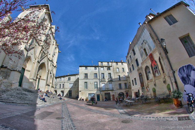201304Montpellier049s1.jpg
