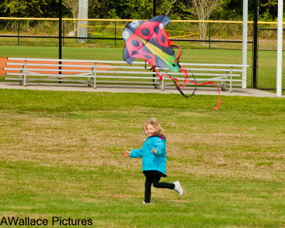 flying_kites