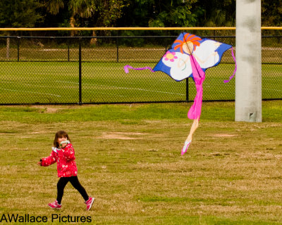 flying_kites