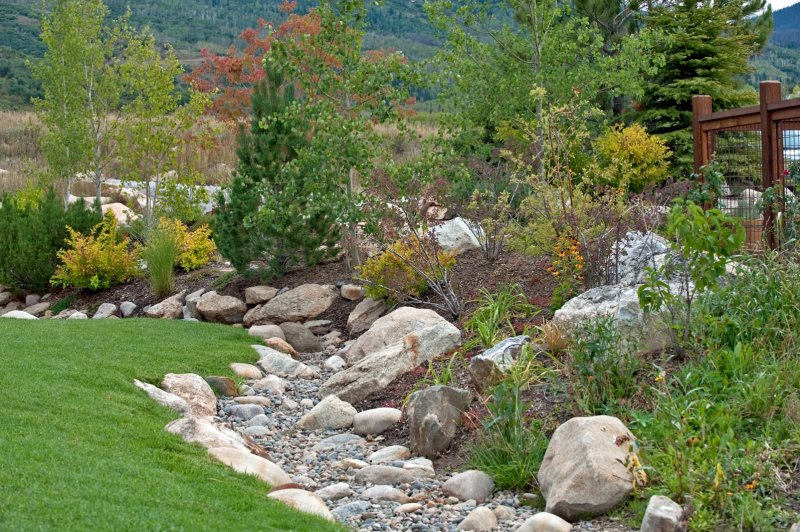 Dry Creekbed with Rock Landscaping