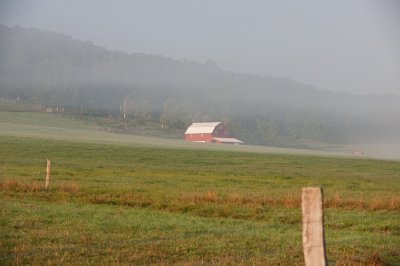 Valley Local Color - Early Morning Fog