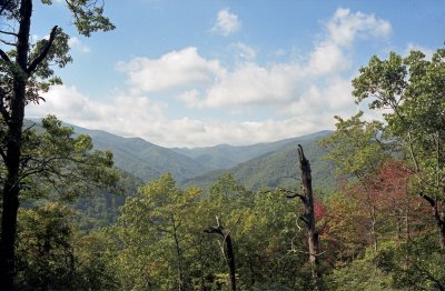 Smoky Mountains View