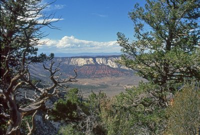 Western Colorado Vista