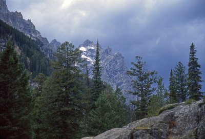 Grand Teton Vista