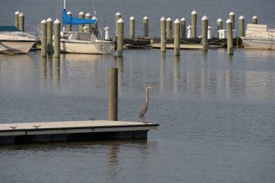 Sitting-on-the-Dock