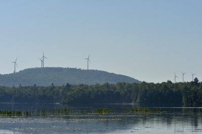 View from Folsom Pond