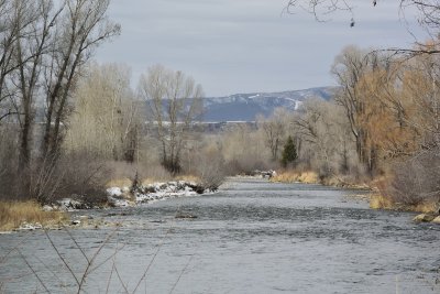 Yampa DownStream from Steamboat Springs